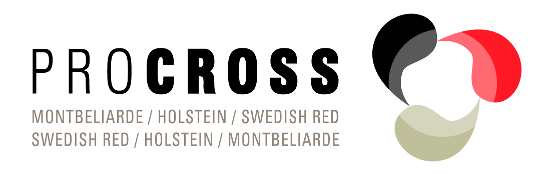 logo_procross-cmjnseul2.jpg