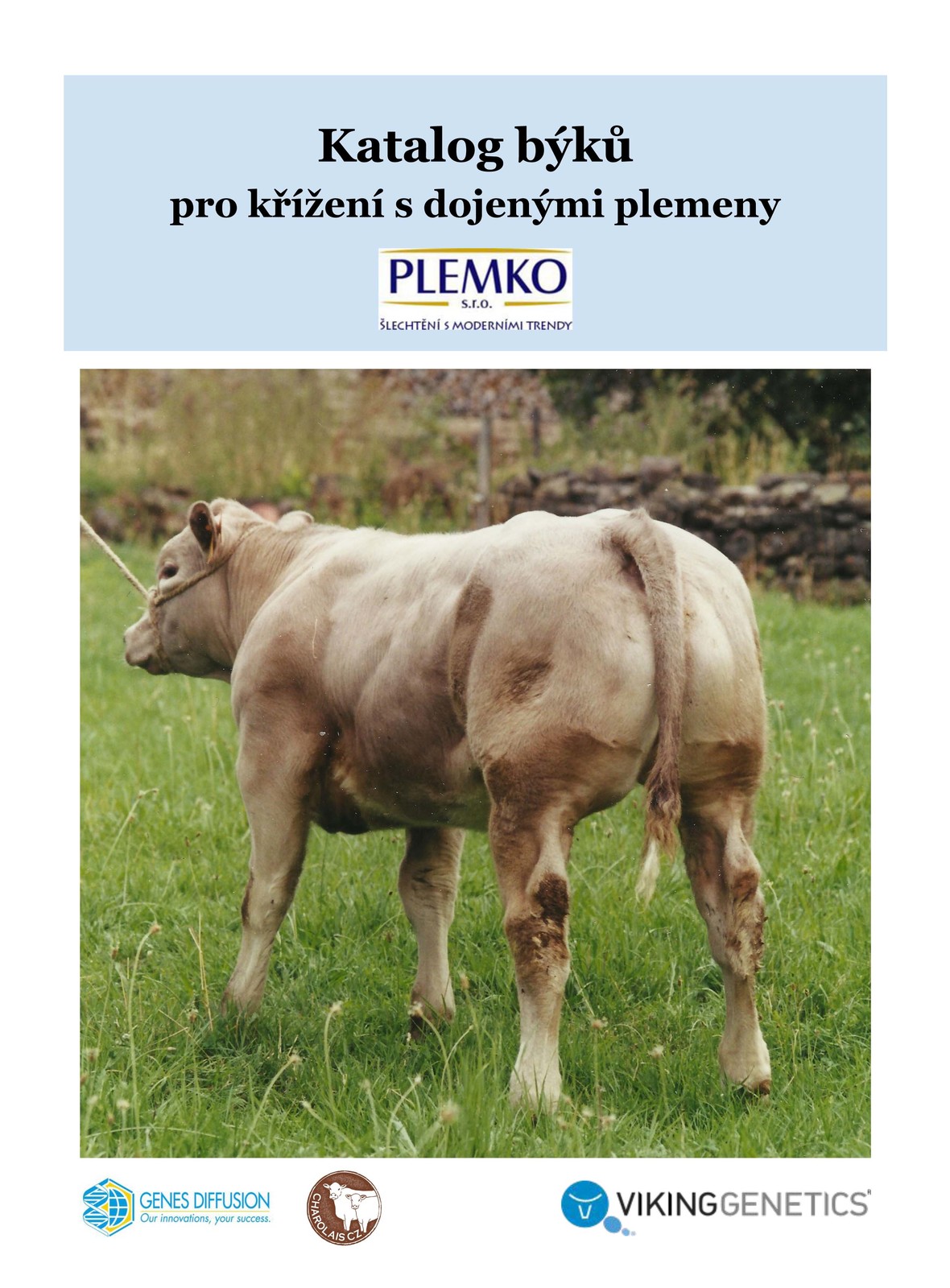 Křížení Plemko + Charolais CZ-1.jpg