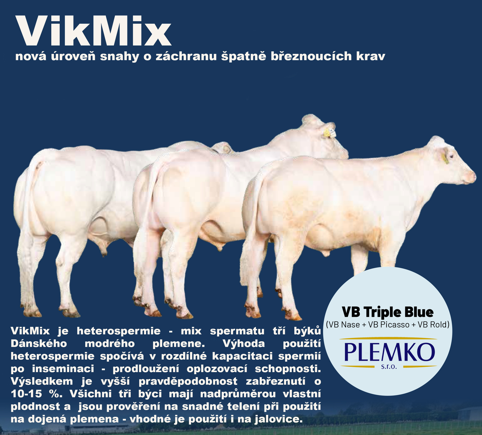 vikmix.jpg